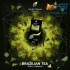 Заказать кальянный табак Spectrum Hard Brazilian Tea (Спектрум Хард Бразильский Чай) 40г онлайн с доставкой всей России фото - 2